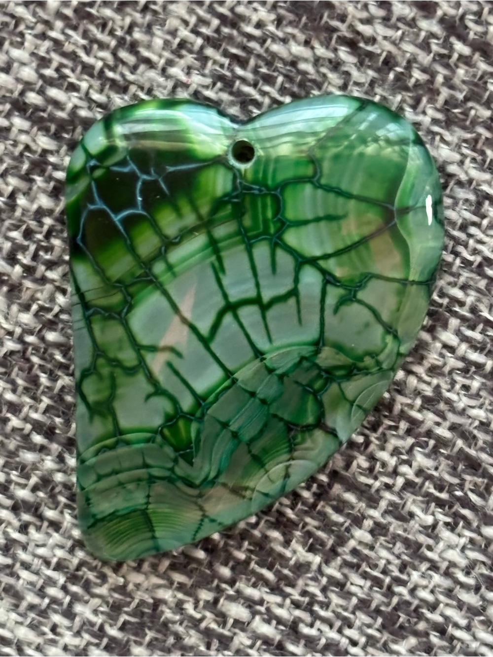 Close Up Vein Stem Leaf Phototropism Color Rock - Picture 9 of 16